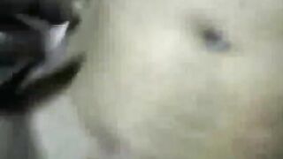 Bhojpuri sex video of hot sister fucking