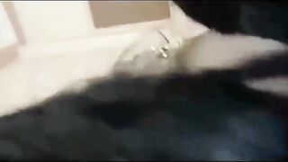 hotel sex video of neighbor