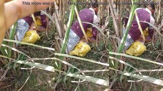 Leaked video of fucking in the field - Bhojpuri sex site