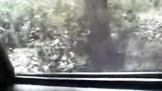 Bihari Bhauji driver fucked in the car